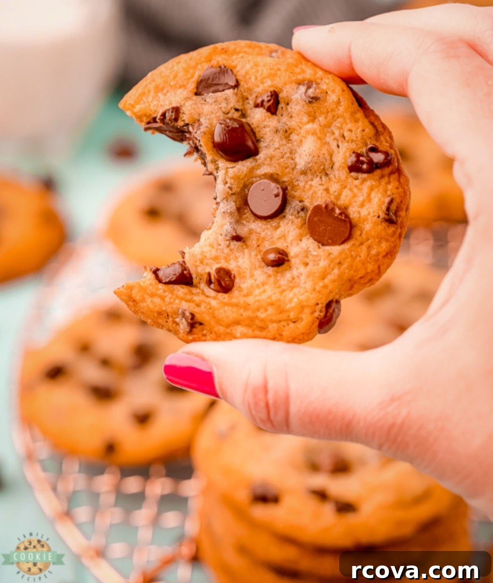Irresistibly Chewy Chocolate Chip Cookies 4 img 6774 3