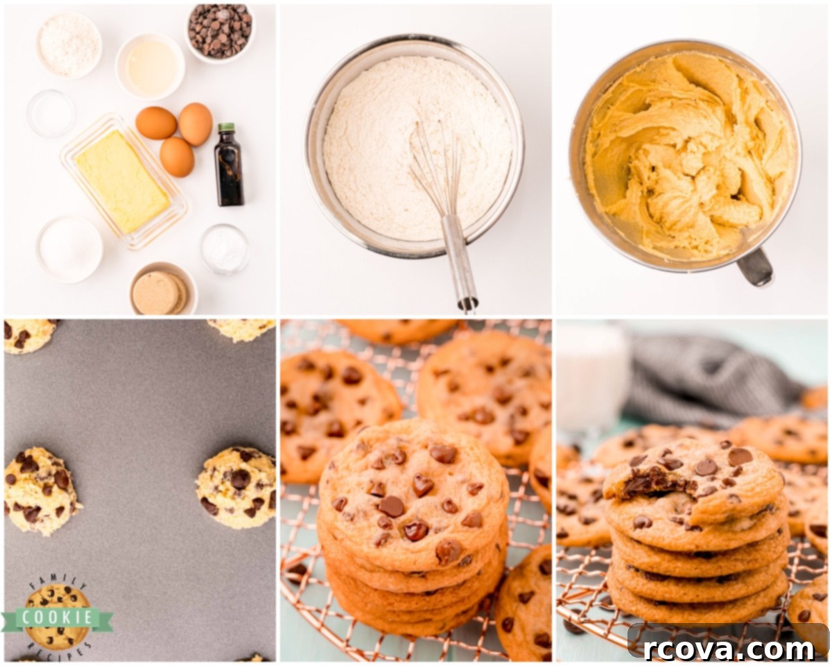 Irresistibly Chewy Chocolate Chip Cookies 5 how to make chewy chips ahoy cookies