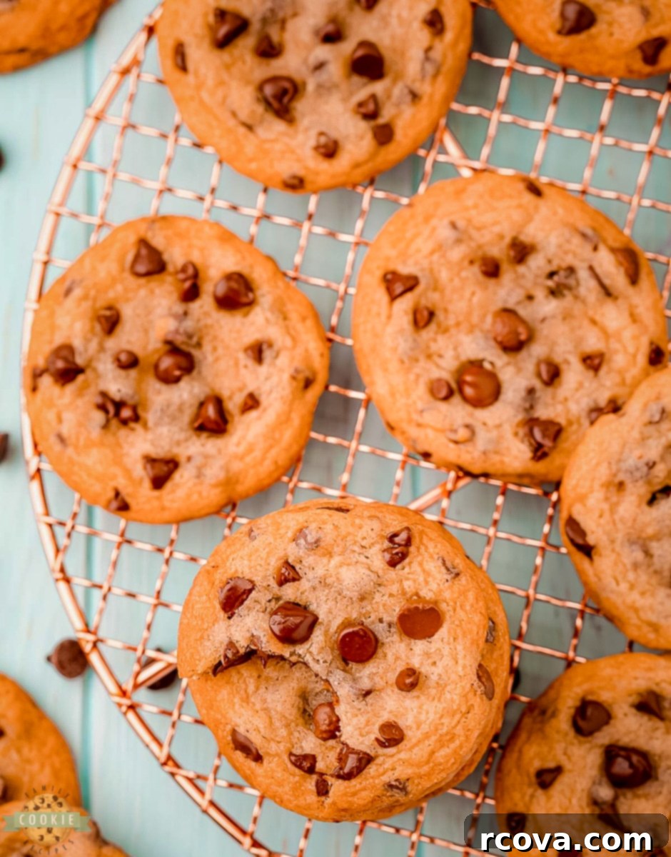 Irresistibly Chewy Chocolate Chip Cookies 6 chips ahoy cookies