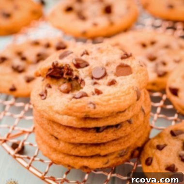 Irresistibly Chewy Chocolate Chip Cookies 7 Copycat Chewy Chips Ahoy Cookies made easy at home with simple ingredients! Soft and chewy chocolate chip cookies even better than your favorite store-bought treat!
