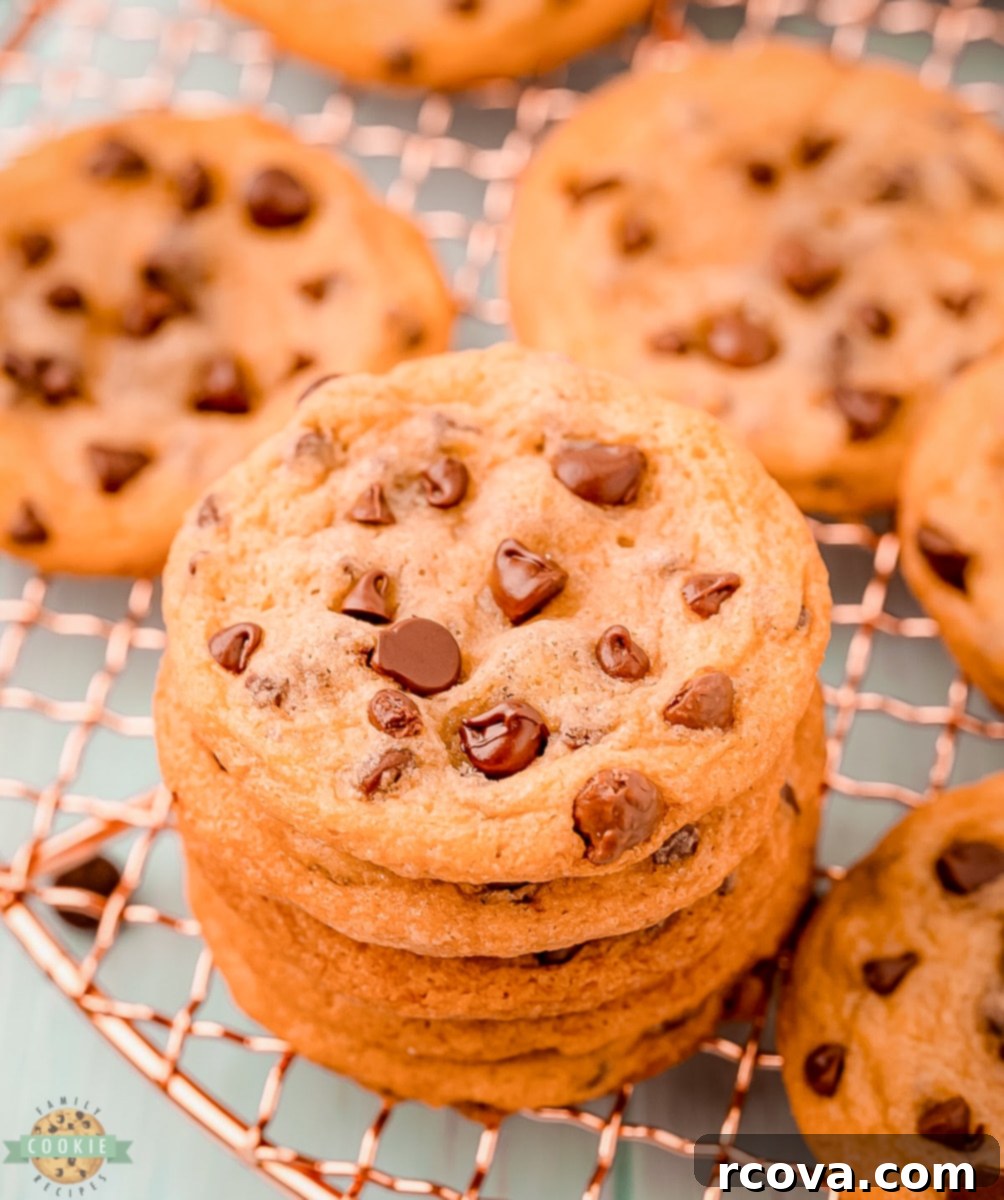Irresistibly Chewy Chocolate Chip Cookies 8 img 6774 7