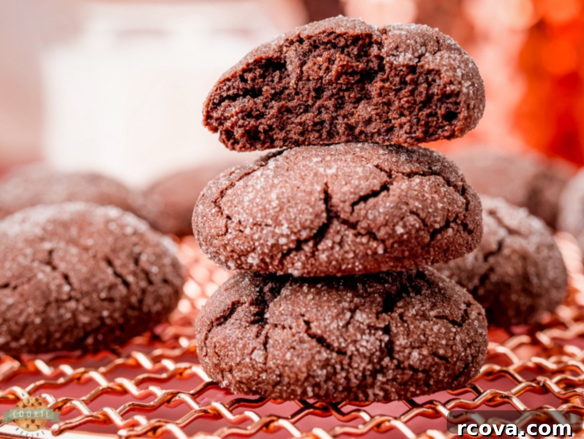 Decadent Chocolate Sugar Cookies 2 chocolate sugar cookies on a copper cooling rack