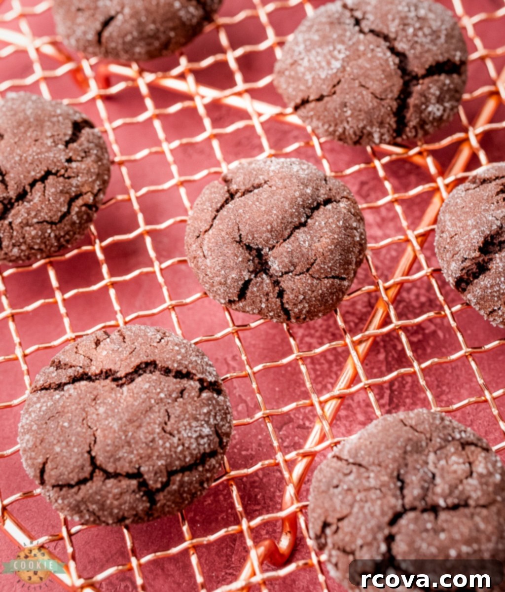 Decadent Chocolate Sugar Cookies 3 Freshly baked dark chocolate sugar cookies