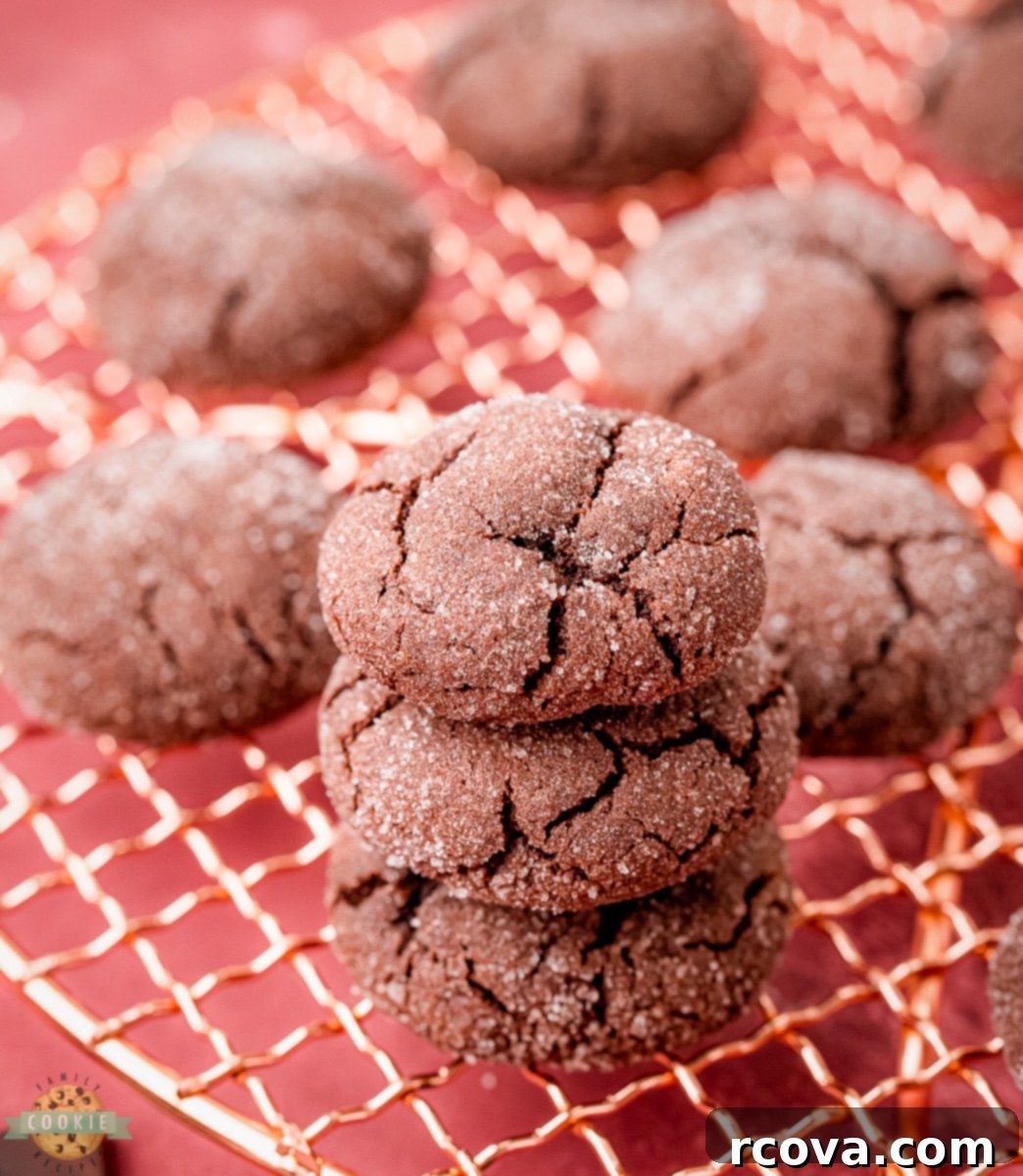 Decadent Chocolate Sugar Cookies 6 Chocolate cookie dough chilling
