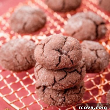 Decadent Chocolate Sugar Cookies 7 Chewy Dark Chocolate Sugar Cookies