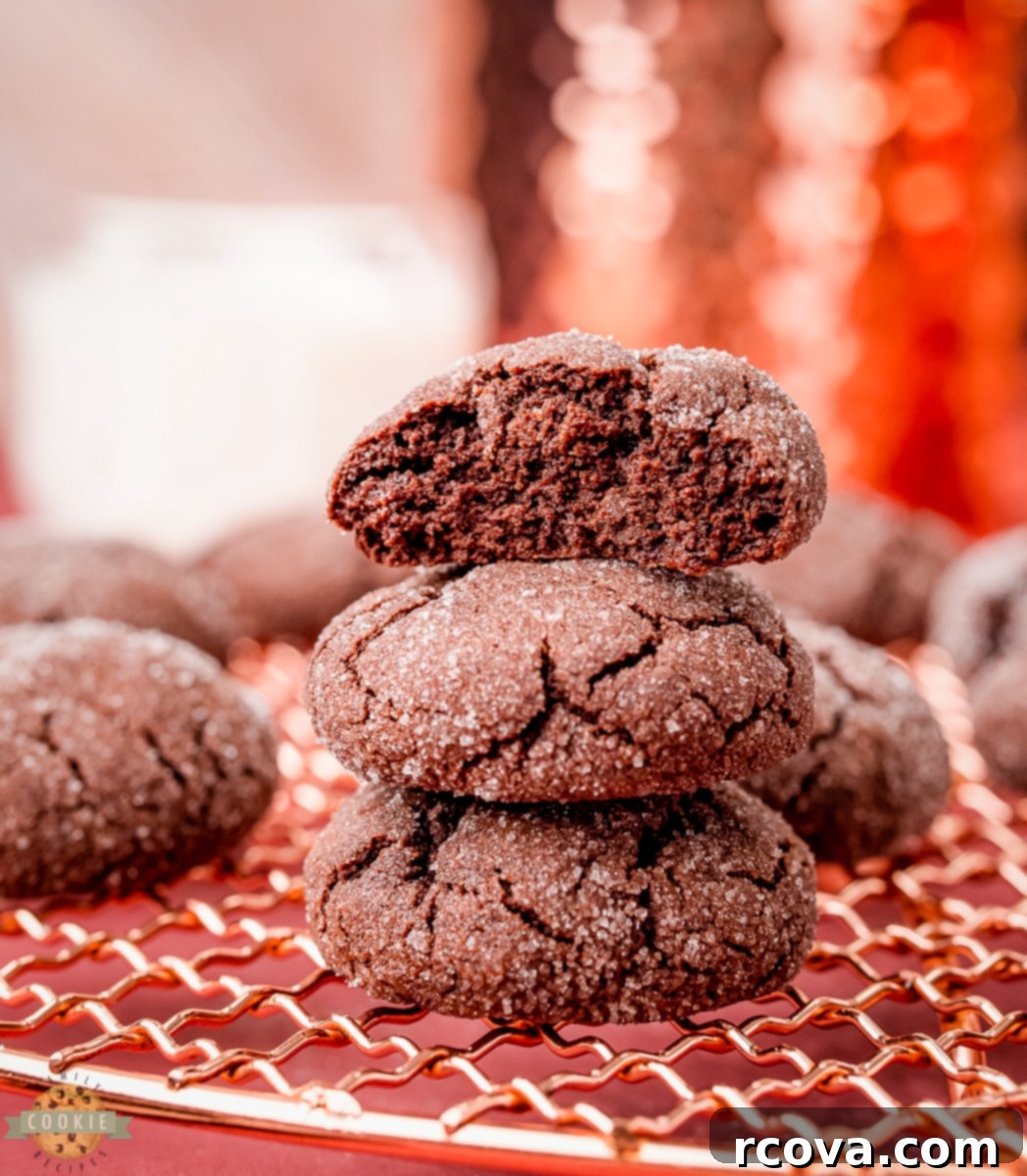 Decadent Chocolate Sugar Cookies 8 Close-up of baked chocolate sugar cookie