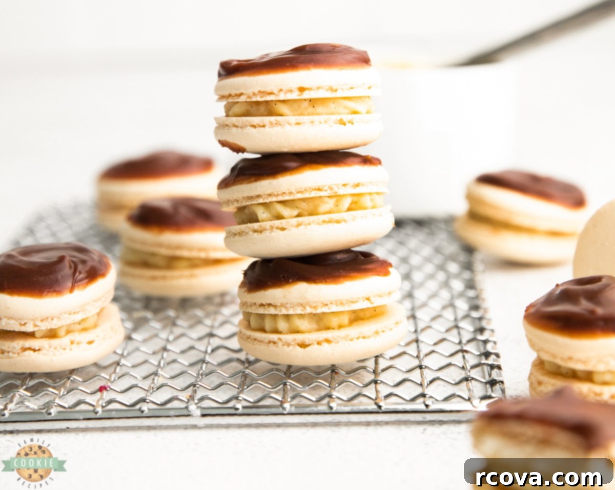 Boston Cream Pie Macarons 2 Boston Cream Pie Macarons with chewy shells, creamy custard, and chocolate ganache