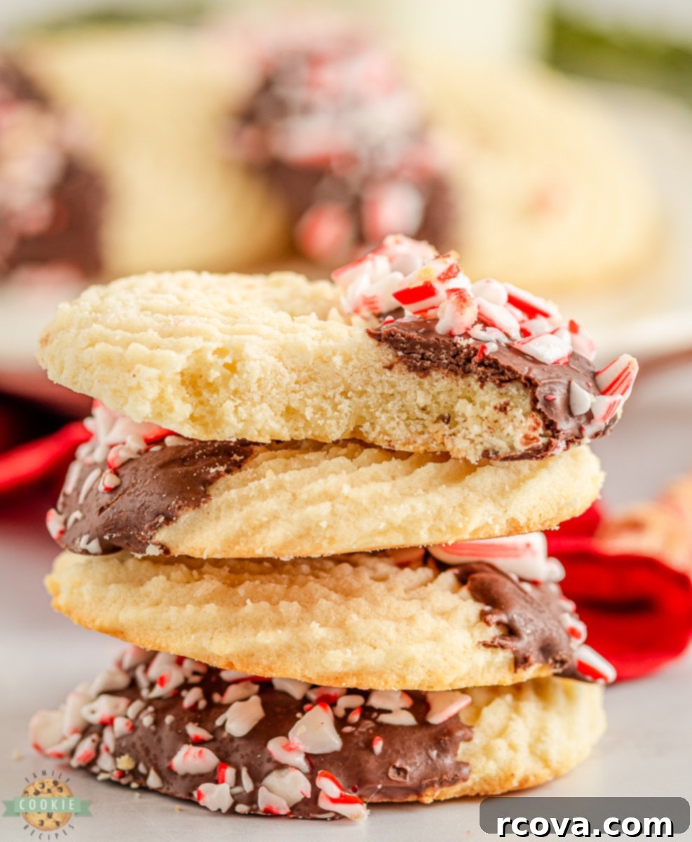 Minty Butter Cookie Bliss 3 Piped Peppermint Butter Cookies