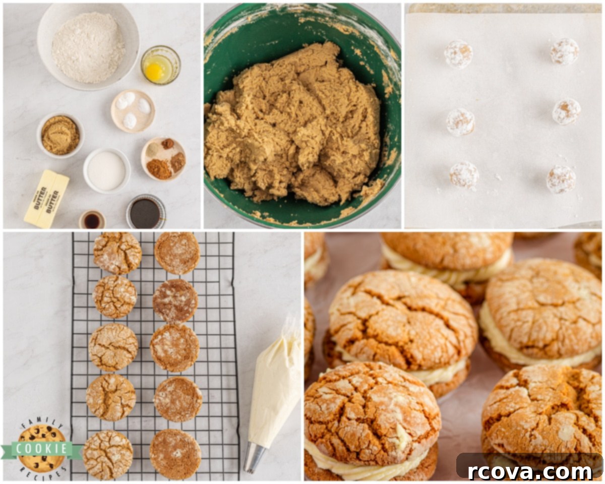 Spiced Gingerbread Cream Sandwiches 5 Steps for making Gingerbread Sandwich Cookies dough
