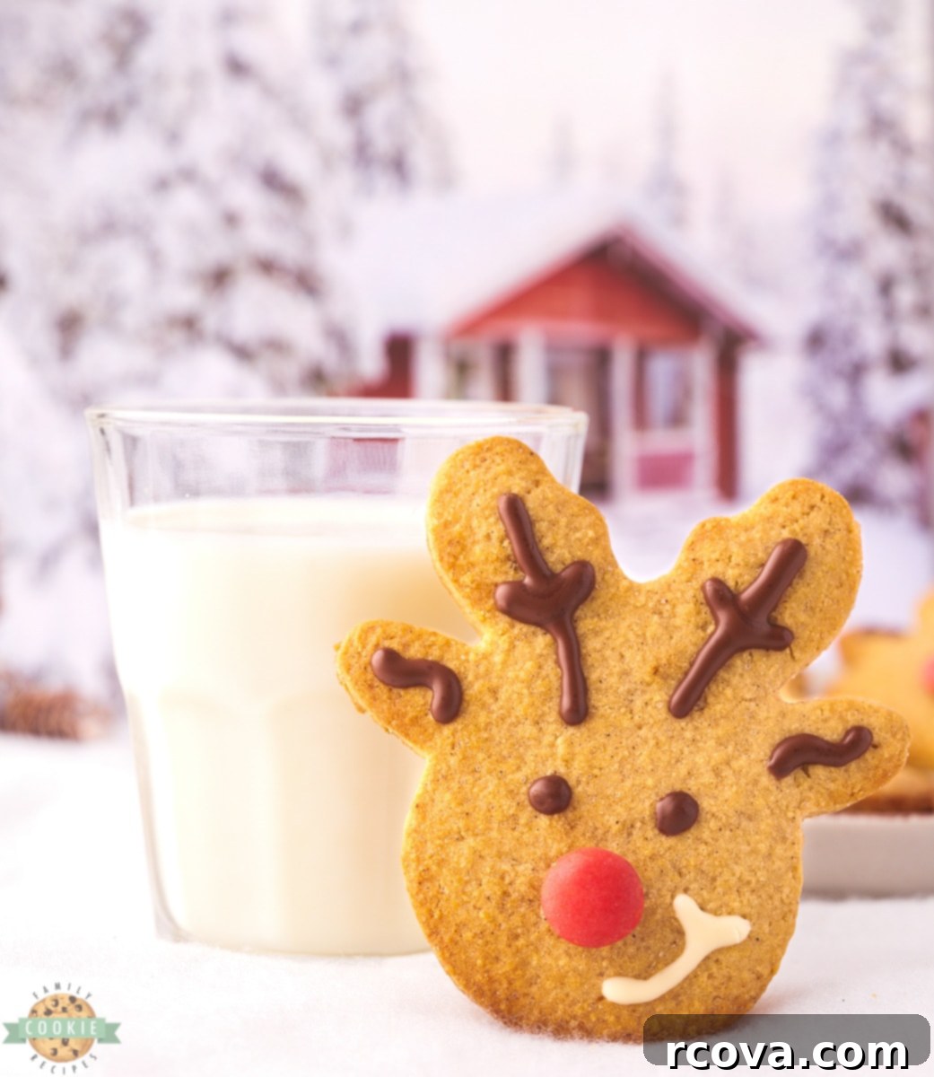 Spiced Reindeer Cookies: A Festive Holiday Treat 2 A plate of freshly baked and decorated spiced reindeer cookies with red noses and chocolate antlers.