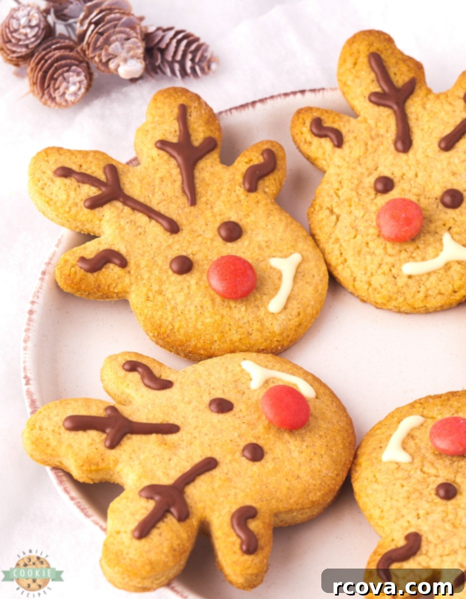 Spiced Reindeer Cookies: A Festive Holiday Treat 3 Close-up of a decorated spiced reindeer cookie on a festive plate.
