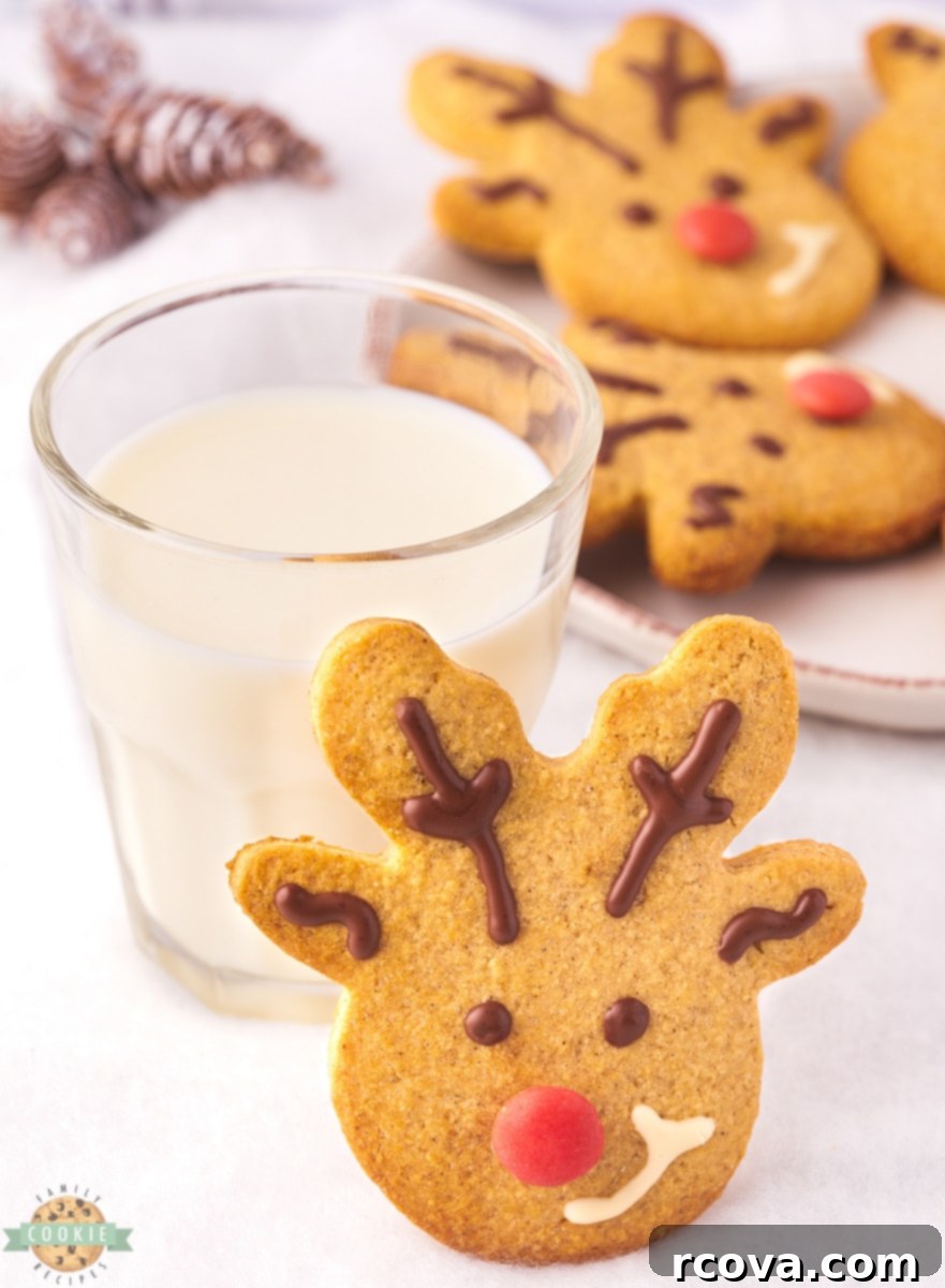 Spiced Reindeer Cookies: A Festive Holiday Treat 4 Ingredients for spiced reindeer cookies laid out on a wooden surface.