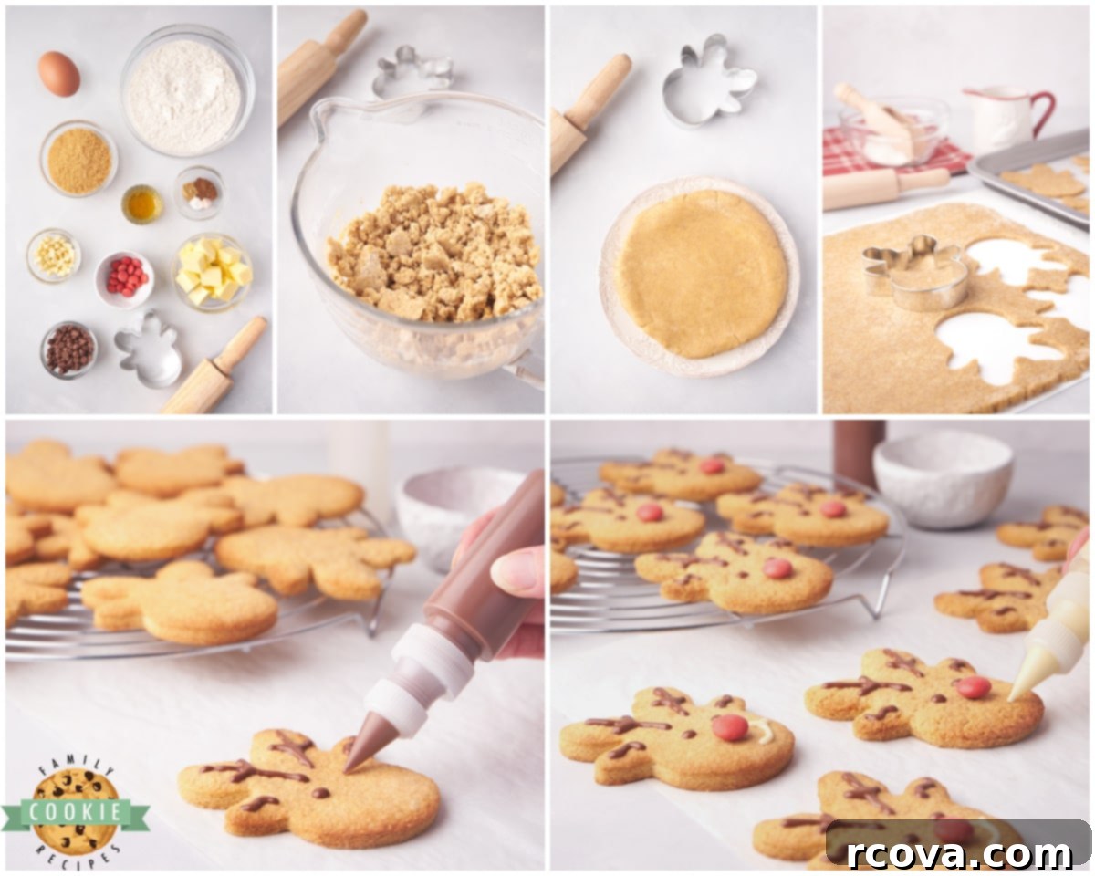 Spiced Reindeer Cookies: A Festive Holiday Treat 5 Step-by-step image collage showing how to make spiced reindeer cookies, from dough to decoration.