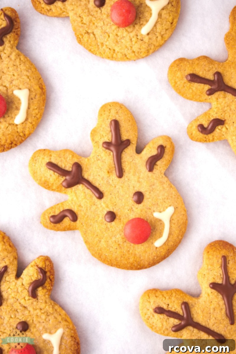 Spiced Reindeer Cookies: A Festive Holiday Treat 6 Spiced cookie dough being rolled out with a rolling pin on a floured surface.