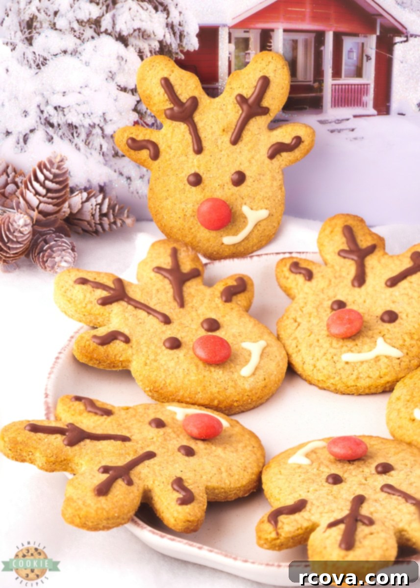 Spiced Reindeer Cookies: A Festive Holiday Treat 7 A tray of baked spiced reindeer cookies cooling on a wire rack.