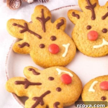 Spiced Reindeer Cookies: A Festive Holiday Treat 8 Beautifully decorated Spiced Reindeer Cookies with chocolate antlers and red candy noses.