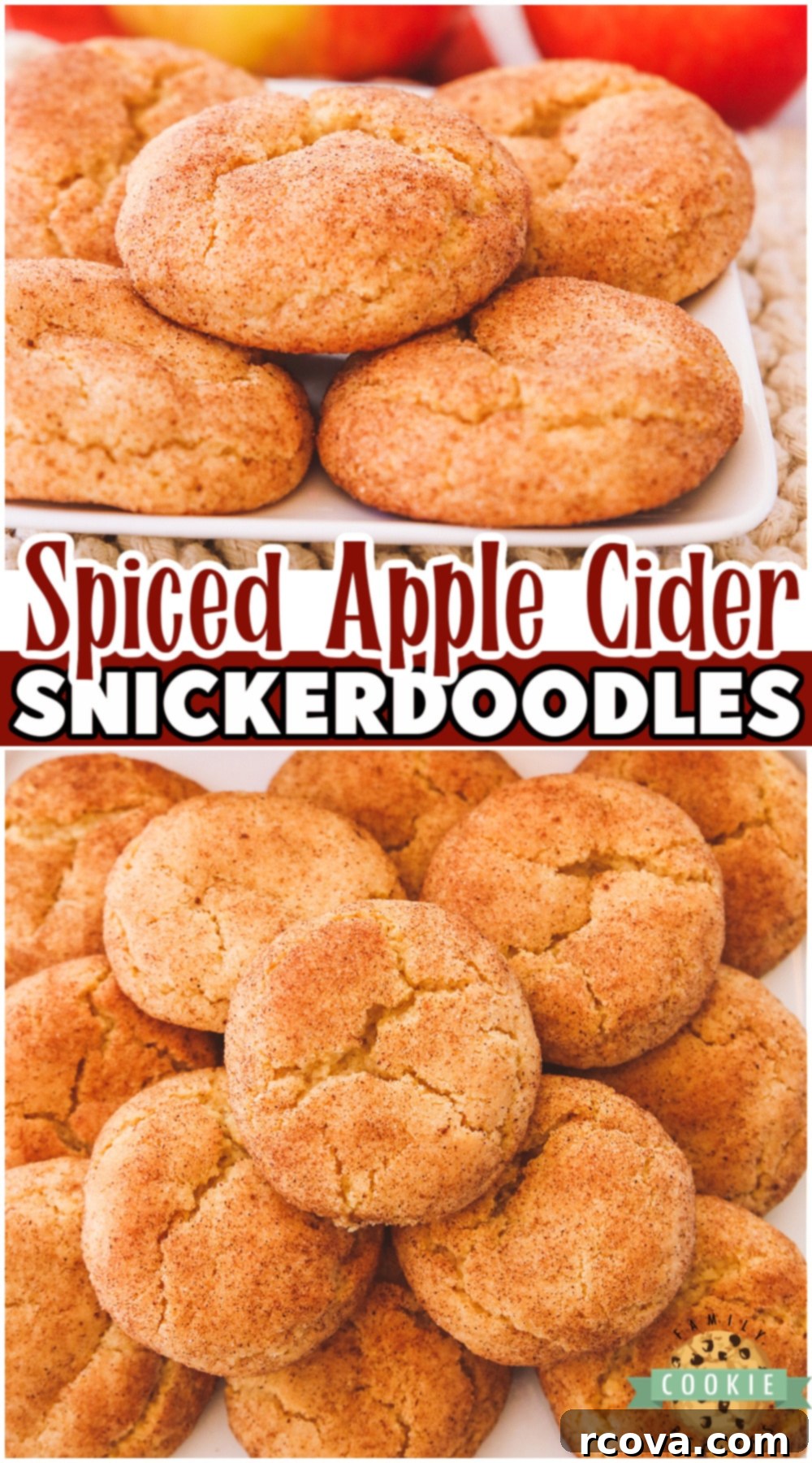 Spiced Apple Cider Snickerdoodles 11 Apple Cider Snickerdoodles are everything you love about Snickerdoodles, with fresh & tangy apple cider! Fabulous Fall flavors in this apple cinnamon spiced snickerdoodle recipe.