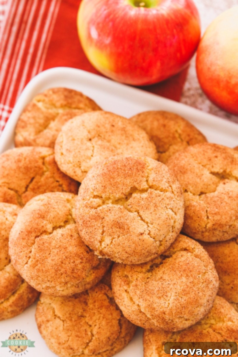 Spiced Apple Cider Snickerdoodles 4 Ingredients for Apple Cider Snickerdoodles laid out