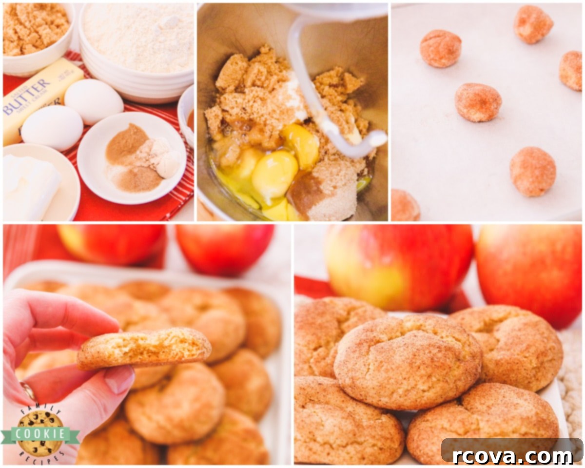 Spiced Apple Cider Snickerdoodles 5 Step-by-step process showing how to make Apple Cider Snickerdoodles
