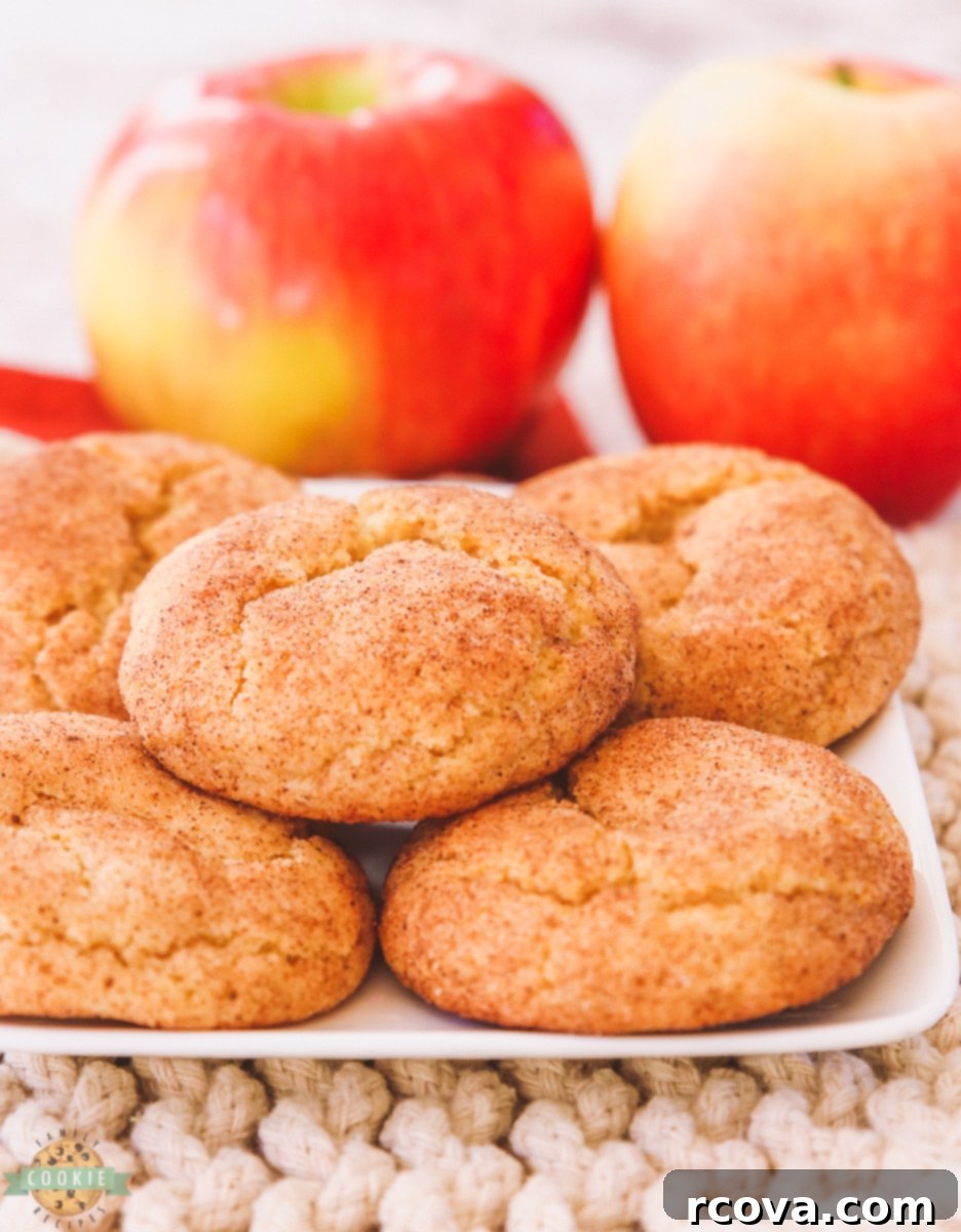 Spiced Apple Cider Snickerdoodles 6 Mixing the cookie dough for Apple Cider Snickerdoodles