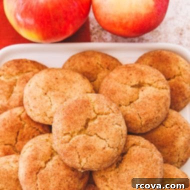 Spiced Apple Cider Snickerdoodles 7 Finished Apple Cider Snickerdoodles on a cooling rack