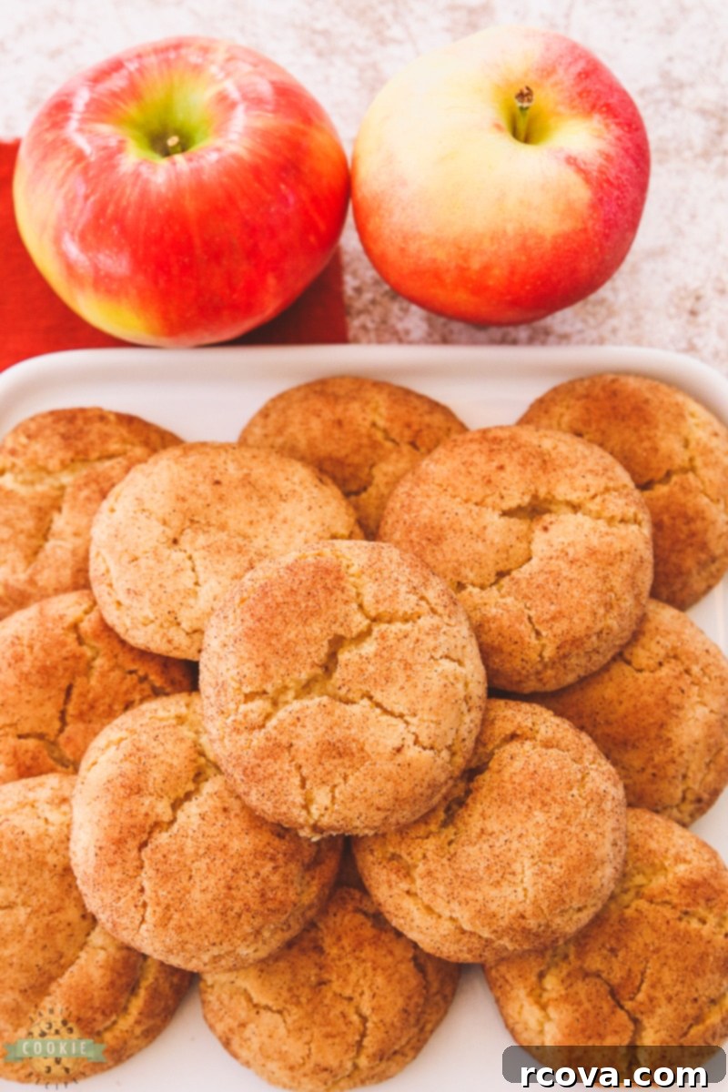 Spiced Apple Cider Snickerdoodles 8 A close-up of a single Apple Cider Snickerdoodle, showcasing its texture