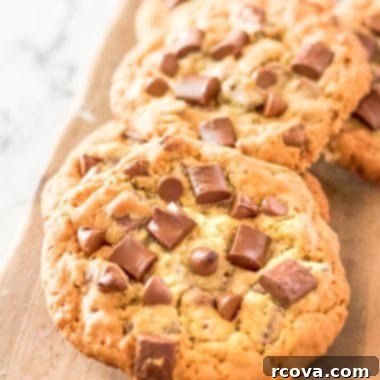 Your Favorite Chick Fil A Cookies At Home 8 Delicious Copycat Chick-Fil-A Cookies