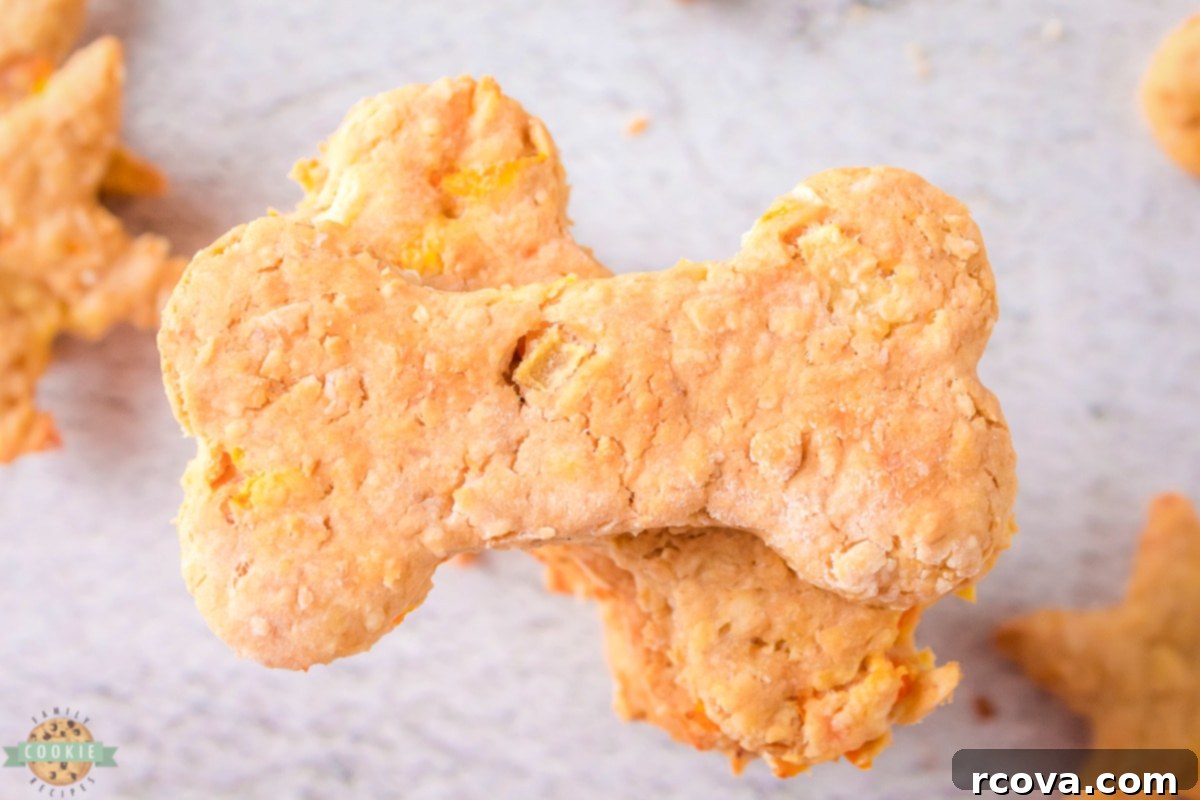 Wholesome Bites for Happy Pups 2 healthy homemade dog cookies with carrots, apple, oats and peanut butter