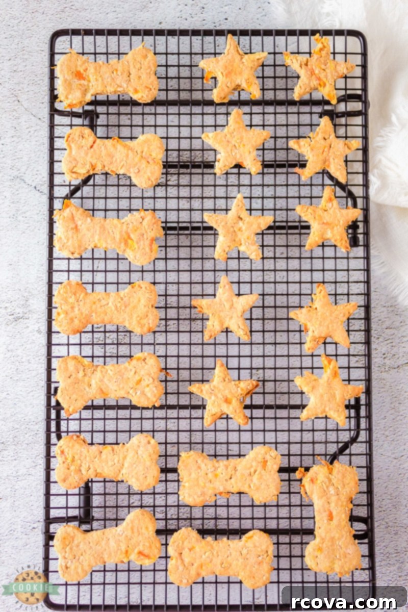 Wholesome Bites for Happy Pups 3 Delicious homemade dog treats ready to be baked