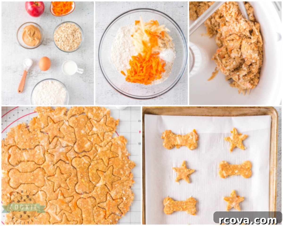 Wholesome Bites for Happy Pups 4 how to make healthy homemade dog cookies with carrots, apple, oats and peanut butter