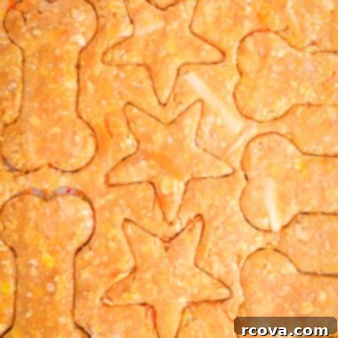 Wholesome Bites for Happy Pups 5 Healthy Homemade Dog Cookies: Carrot, Oats, Peanut Butter & Apple