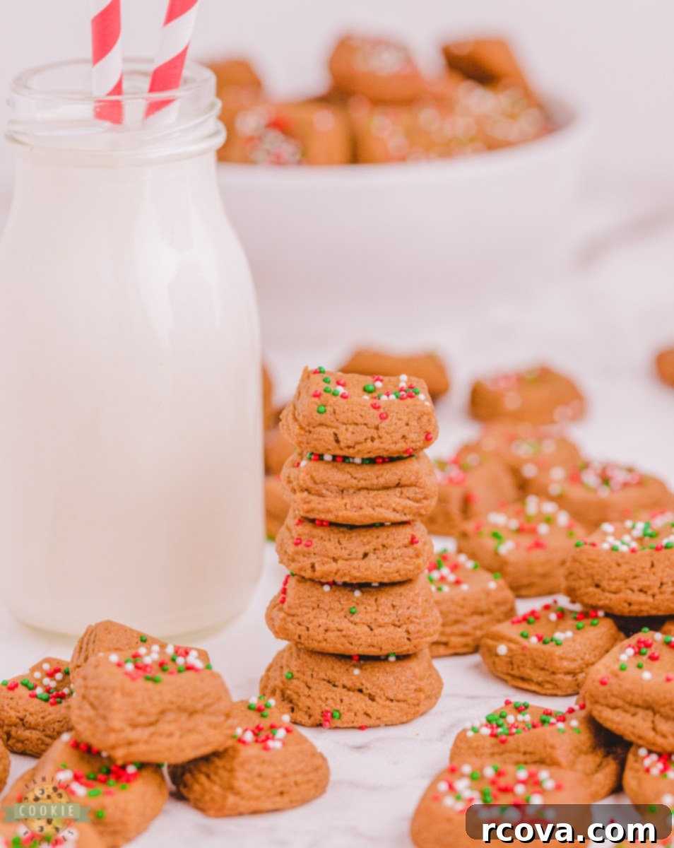Festive Gingerbread Morsels 3 Soft and chewy gingerbread cookie bites ready for holiday parties