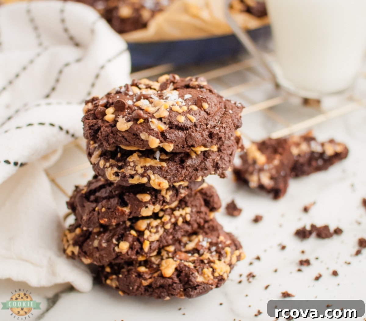 Gourmet Chocolate Toffee Jewels 5 Chocolate cookie dough with toffee and chocolate chips mixed in