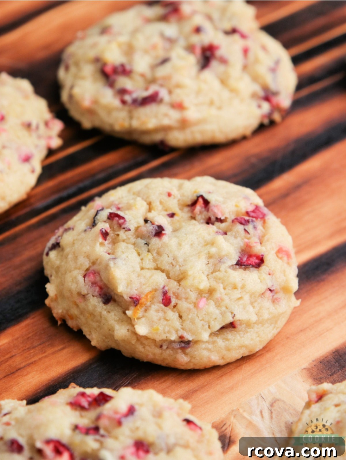 Ruby Orange Sunshine Bites 5 Orange cookies with cranberries