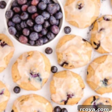 Blueberry Banana Cookie Delights 7 tray of blueberry banana cookies with fresh blueberries
