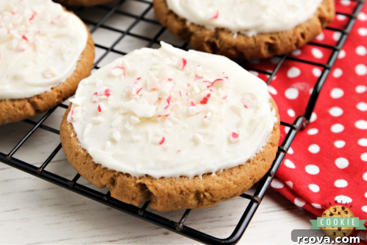 Festive Frosted Gingerbread Delights 3 Single frosted gingerbread cookie with creamy white buttercream.