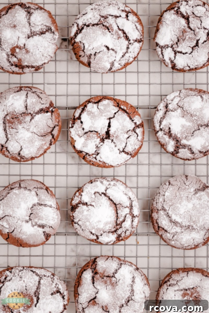 Chocolate Crinkles with a Caramel Heart 6 Unbaked Caramel Chocolate Crinkle Cookie dough balls covered in powdered sugar on a baking sheet.