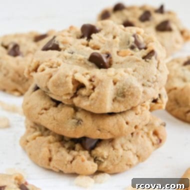Peanut Butter Chocolate Krispie Crunch Cookies 6 A perfectly baked Rice Krispie Chocolate Chip Peanut Butter Cookie, showcasing its thick, chewy texture and crispy edges