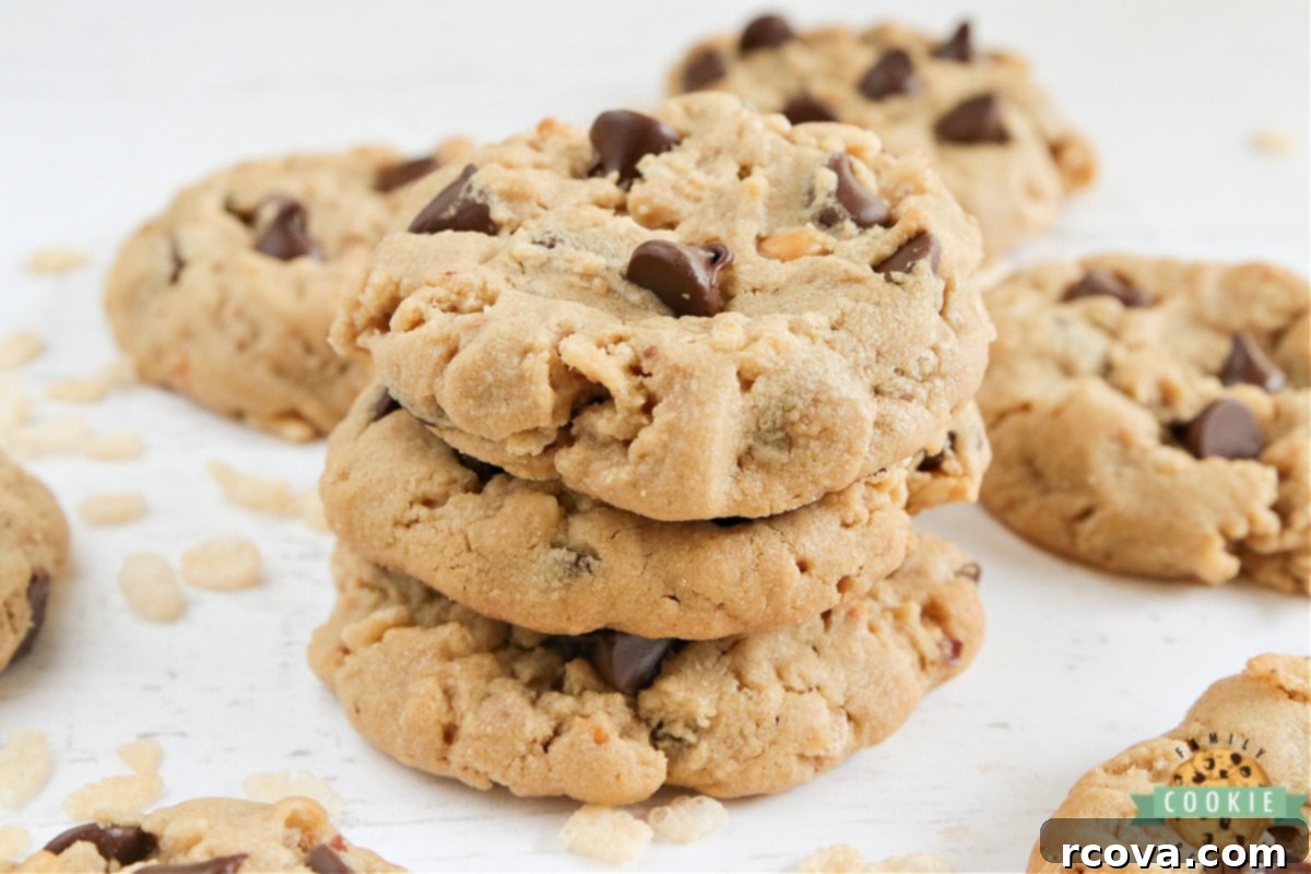 Peanut Butter Chocolate Krispie Crunch Cookies 7 Close-up of a perfectly baked Rice Krispie Chocolate Chip Peanut Butter cookie, showcasing its golden-brown edges, soft center, and delightful crispy texture from the cereal