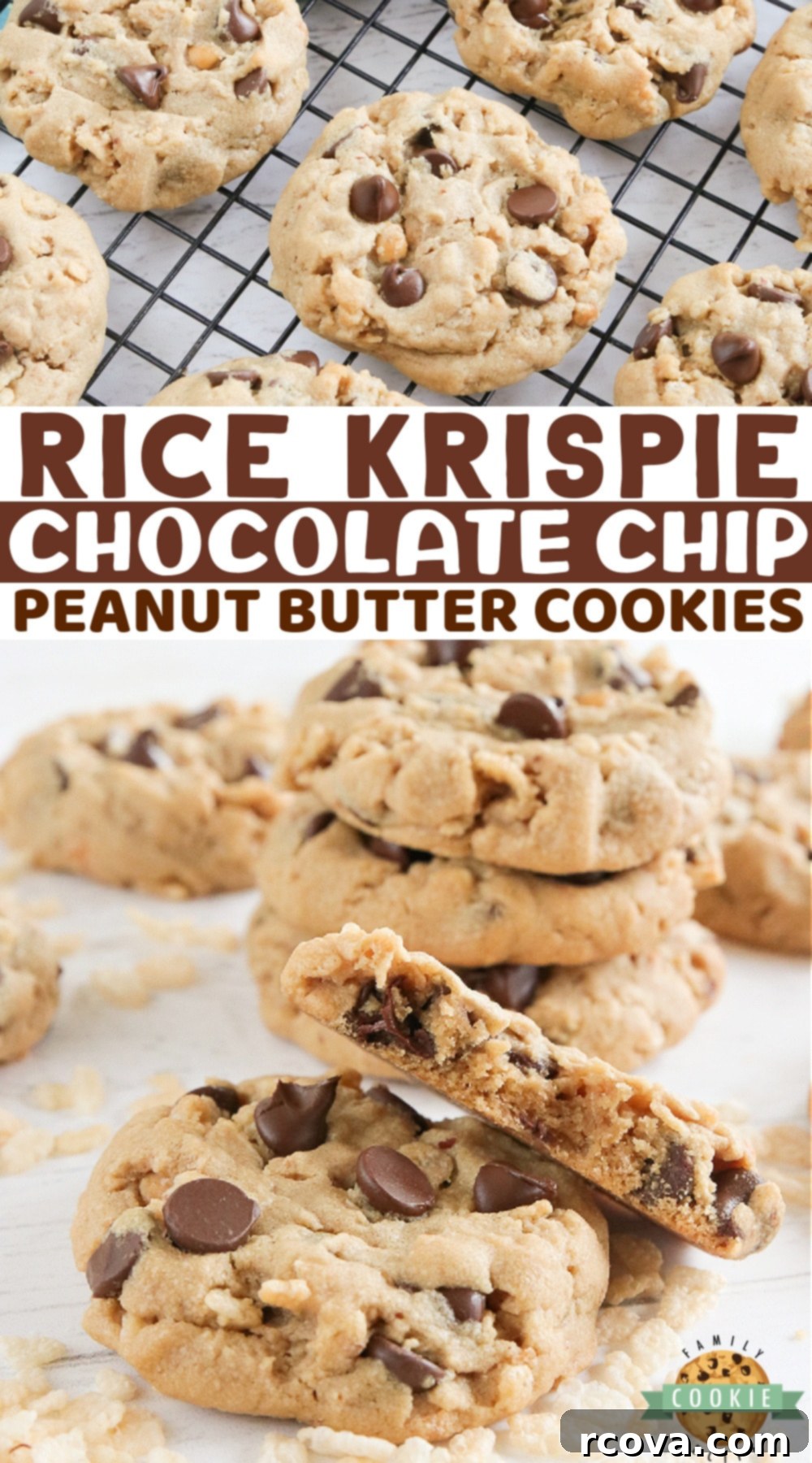 Peanut Butter Chocolate Krispie Crunch Cookies 9 A close-up shot of a plate of freshly baked Rice Krispie Chocolate Chip Peanut Butter cookies, highlighting their appealing texture and inviting aroma