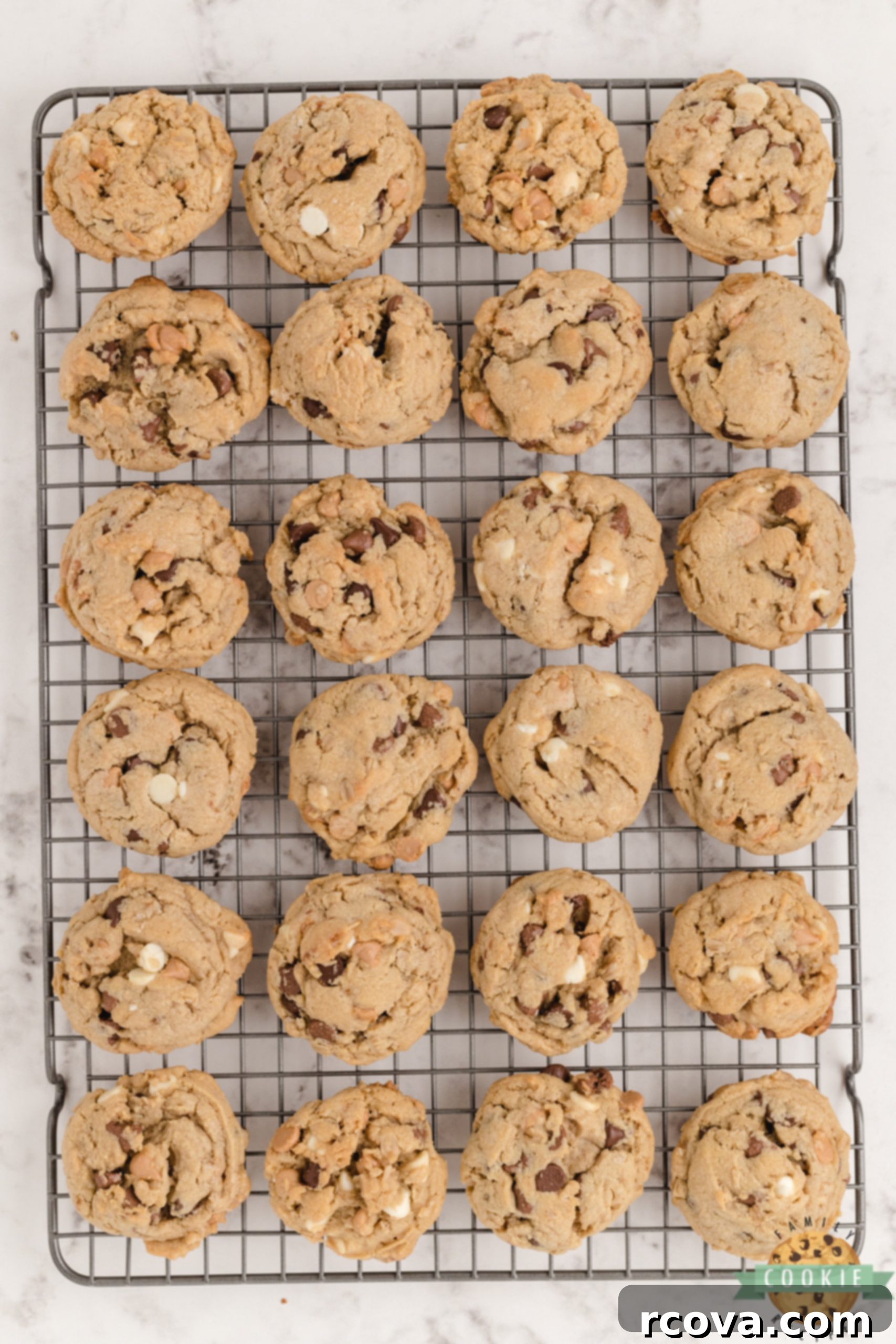 Decadent Five-Chip Peanut Butter Oatmeal Treats 6 Five Chip Peanut Butter Oatmeal Cookies