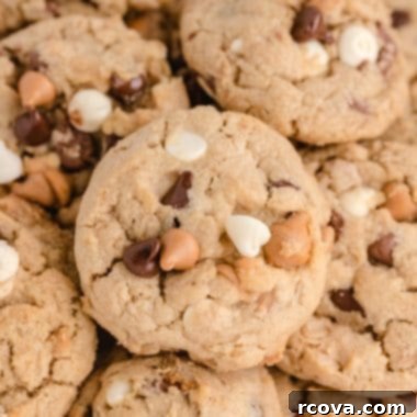 Decadent Five-Chip Peanut Butter Oatmeal Treats 7 img 8443 6