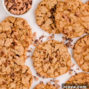 Chewy Toffee Oatmeal Delights 8 tray of oatmeal toffee cookies with bits of brickle