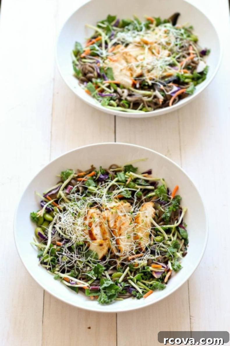 Soba Noodle Comfort Bowls 5 Soba Noodle Broth Bowls ready to eat