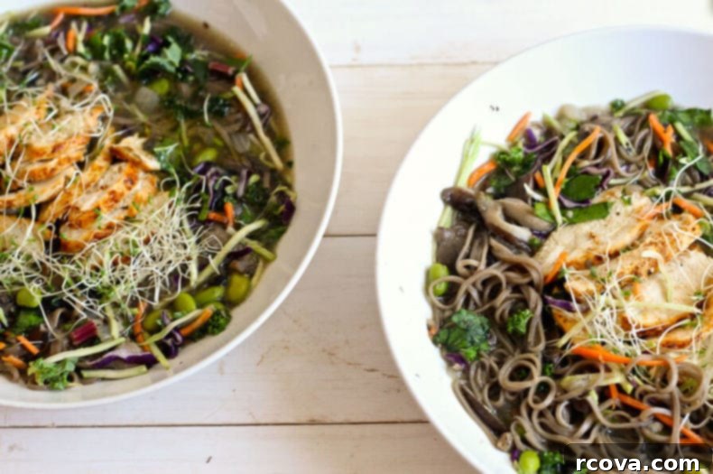 Soba Noodle Comfort Bowls 6 Vegetarian Soba Noodle Broth Bowls with extra vegetables