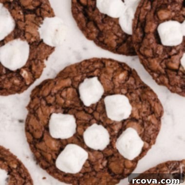 Ultimate Rocky Road Cookies 7 Fudgy Rocky Road Cookies with Chocolate, Almonds, and Marshmallows
