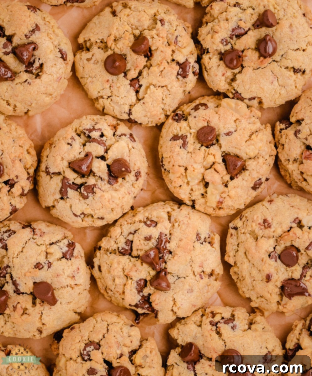 Irresistible Oatmeal Walnut Chocolate Chippers 8 Freshly baked chocolate chip walnut oatmeal cookies cooling