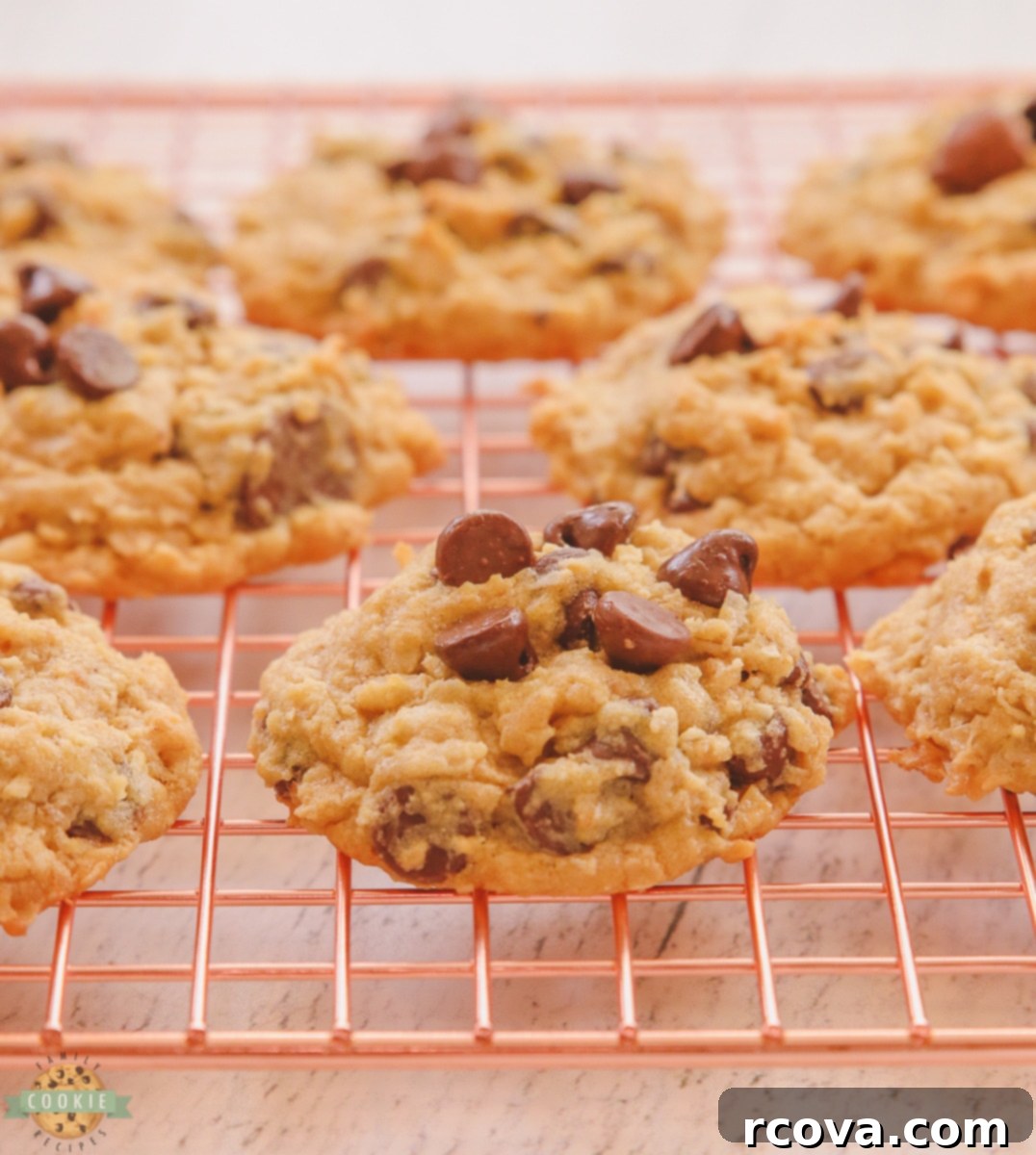 Tropical Chocolate Chip Oat Delights 2 Golden-brown chocolate chip coconut oatmeal cookies cooling on a wire rack, showcasing their chewy texture and abundance of mix-ins.