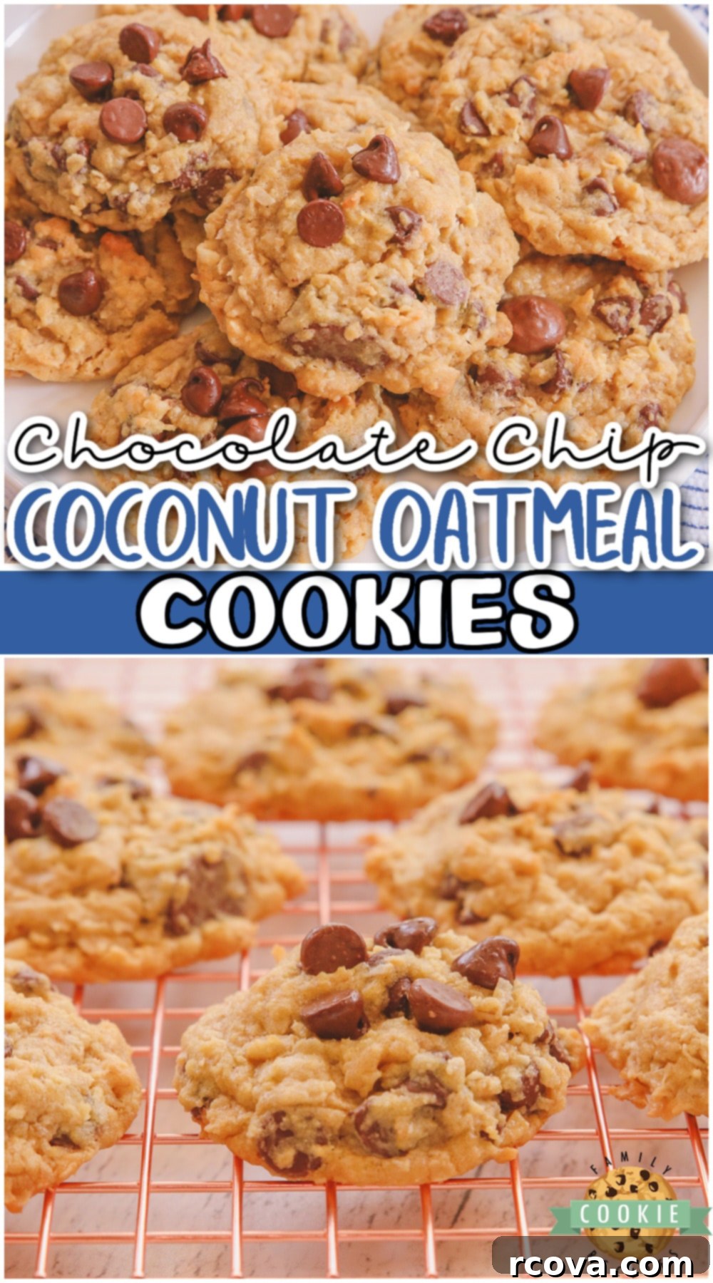 Tropical Chocolate Chip Oat Delights 11 A stunning close-up of Chocolate Chip Coconut Oatmeal Cookies, showcasing the texture and visible chocolate chips and coconut flakes, perfect for a recipe pin.