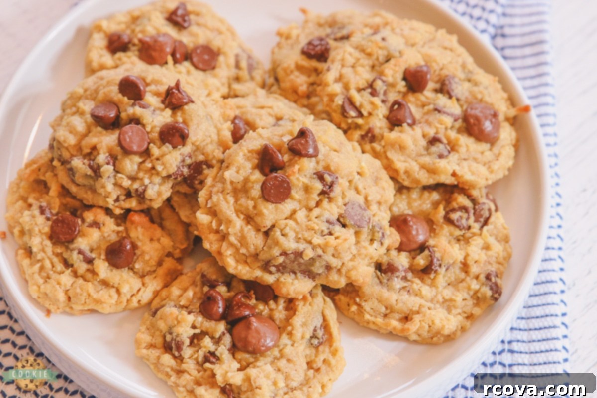 Tropical Chocolate Chip Oat Delights 3 A vibrant plate of freshly baked chocolate chip coconut oatmeal cookies, highlighting their golden edges and rich, chewy centers.